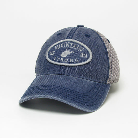 Mountain Strong Dashboard Trucker