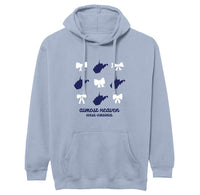 Bows/WV State Hoodie
