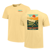 Almost Heaven Wildflowers/ mtns tee
