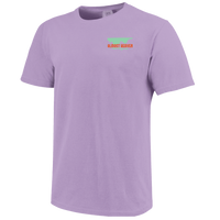 Almost Heaven Wildflowers/ mtns tee