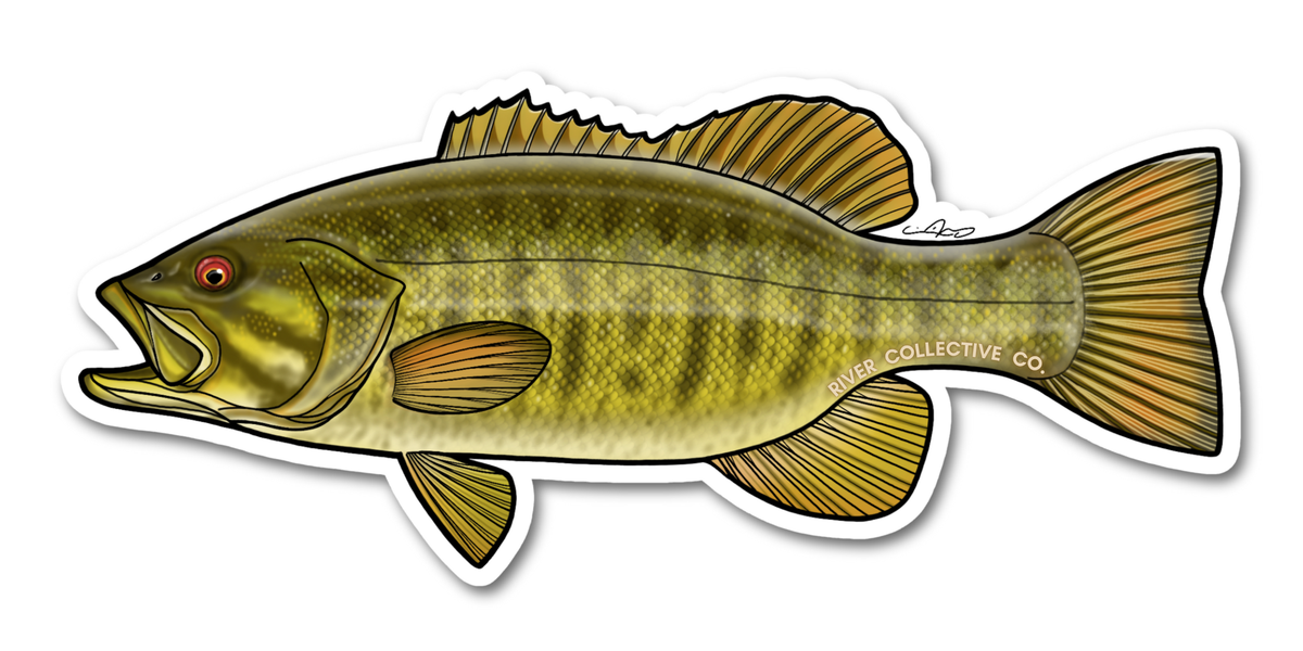 Smallmouth Bass Decal