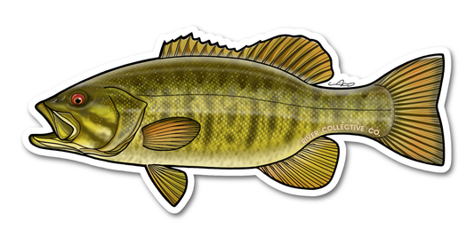 Smallmouth Bass Decal