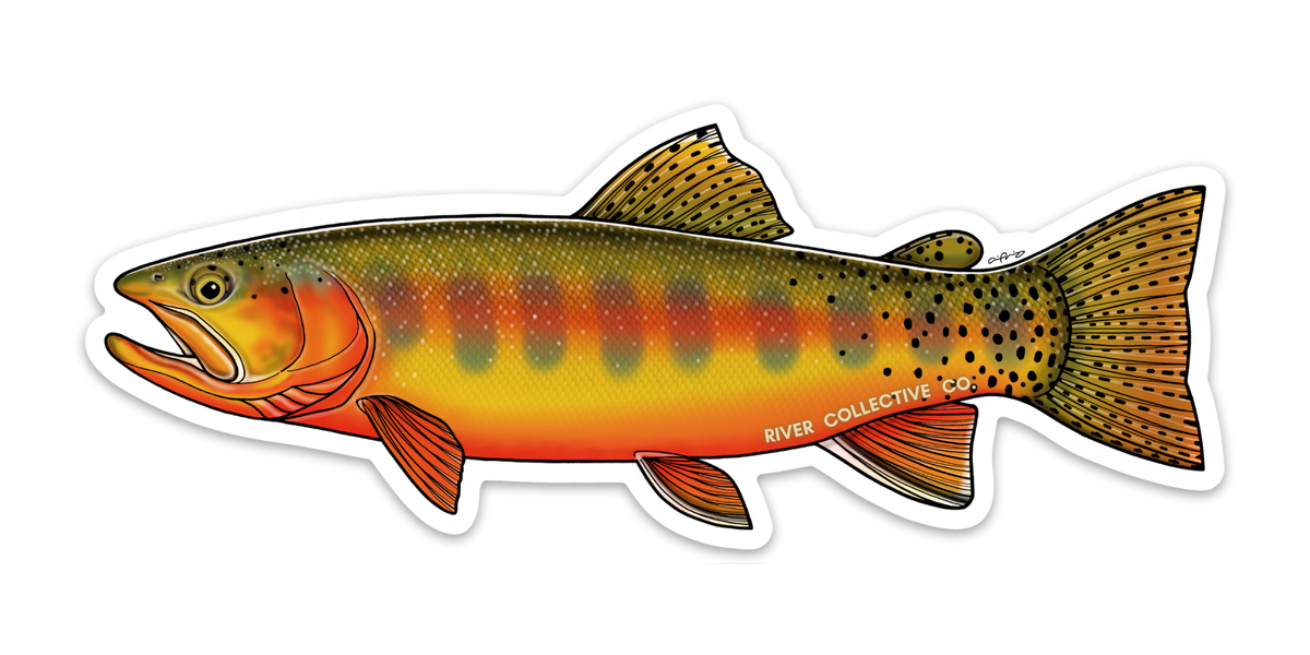 Golden Trout Decal