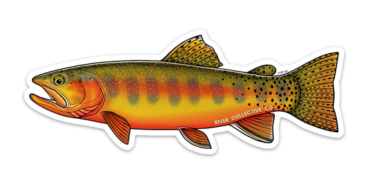 Golden Trout Decal