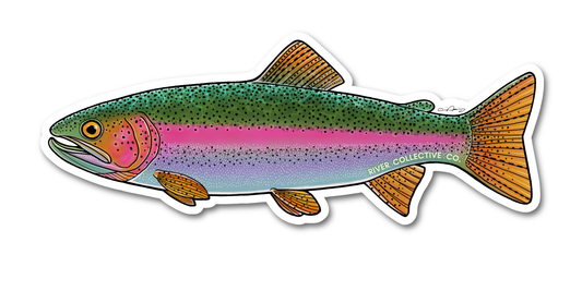 Juvenile Rainbow Trout Decal