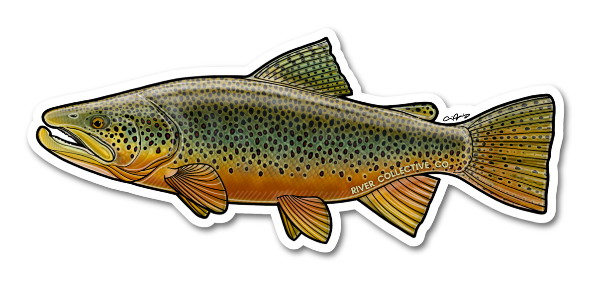 Brown Trout Decal