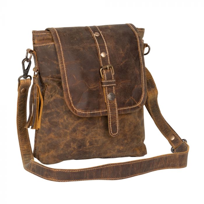 Brown Beauty Leather Bag
